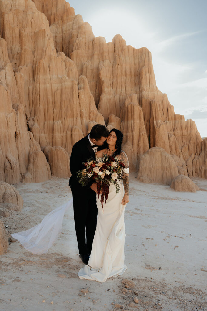cute picture of the groom kissing the bride on the cheek
