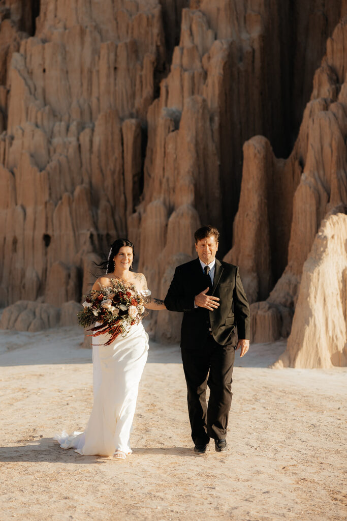 stunning picture of the bride walking down the aisle 