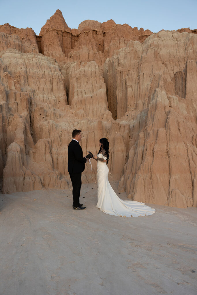 cute couple reading their vows