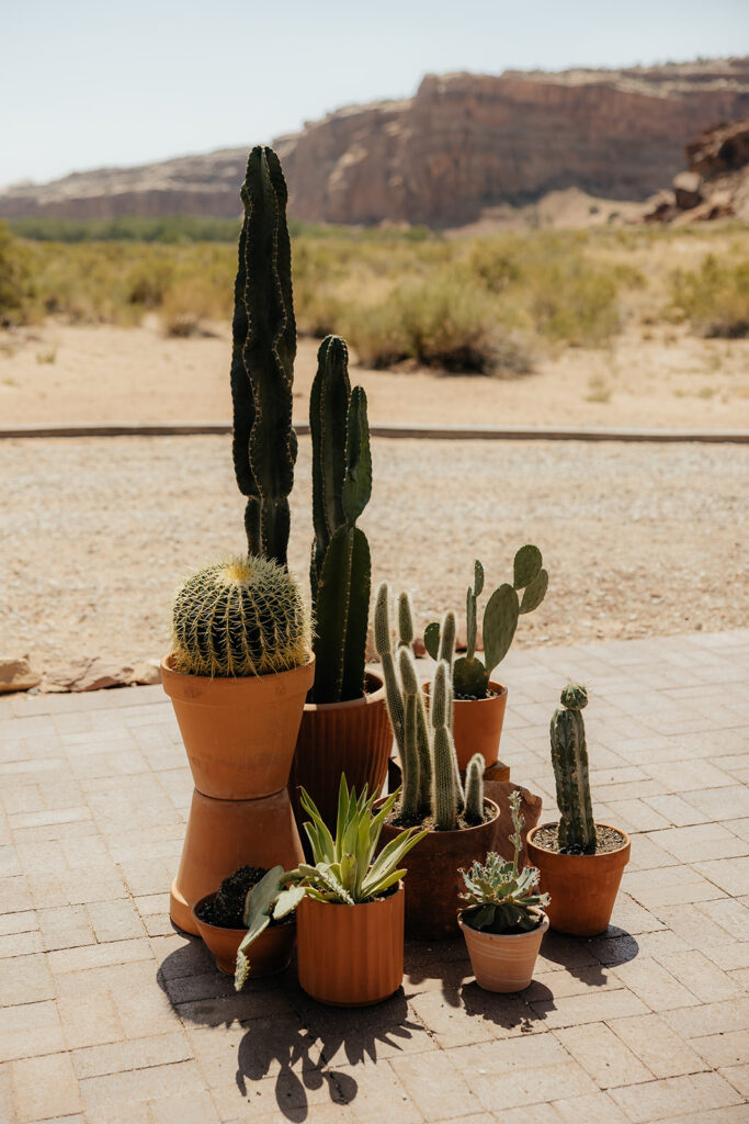 Romantic Utah Desert Wedding at The Red Earth Venue: Zac & Sophia’s Day