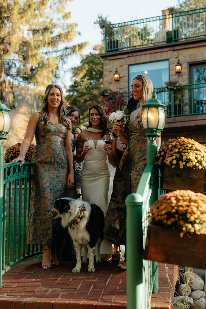 beautiful picture of the bride and her bridesmaids