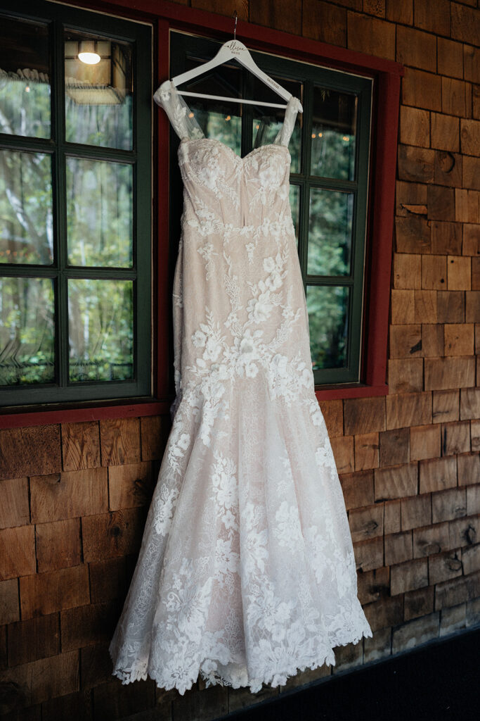 stunning picture of the wedding dress